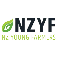NZYF-1